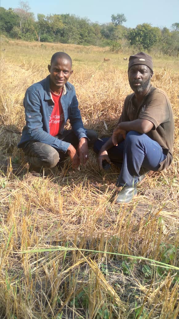 Fakoli agricultural work